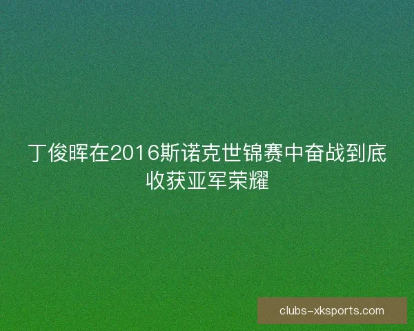 丁俊晖在2016斯诺克世锦赛中奋战到底收获亚军荣耀 丁俊晖在2016斯诺克世锦赛中奋战到底收获亚军荣耀